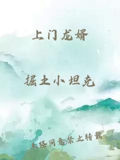 上門龍婿